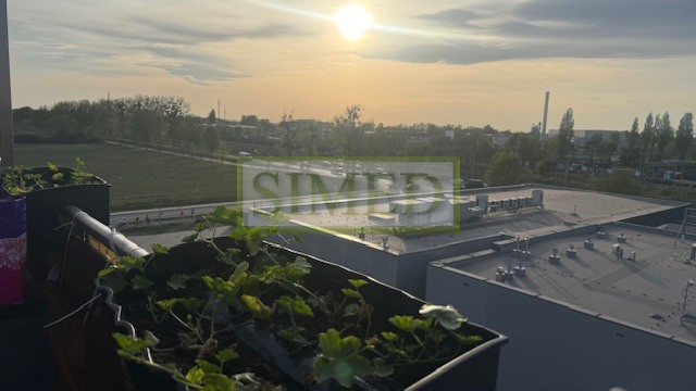 Mieszkanie Sprzedaż Parzniew Działkowa