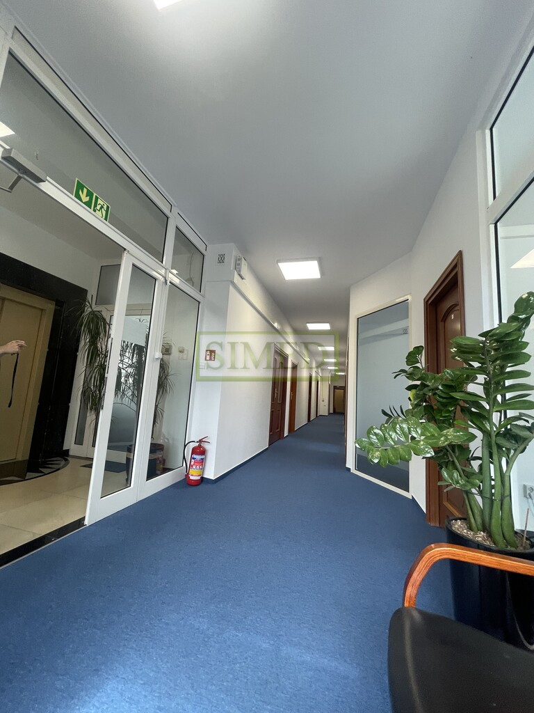 Lokal Wynajem Warszawa Wilanów