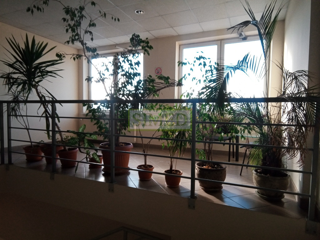 Lokal Wynajem Warszawa Praga-Północ
